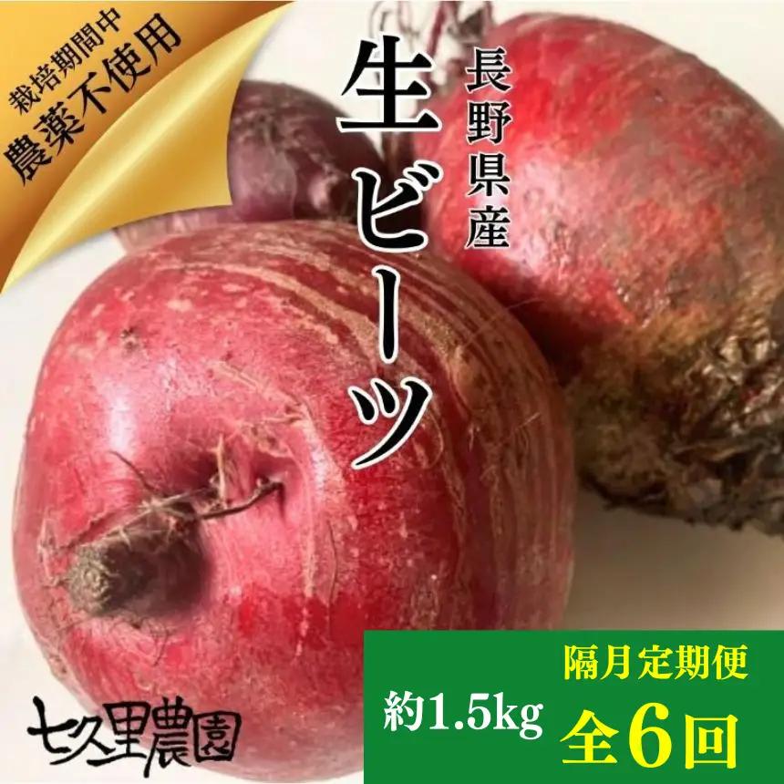レッドパワービーツ 約1.5kg【 隔月 6回 定期便 】｜長野県 飯田市