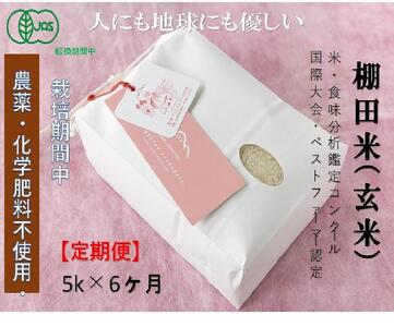【2025年産新米】【定期便】魚沼コシヒカリ 苗場プリンセス・プレミアム 有機jaS認証米 玄米（5kg）×6回 合計30kg