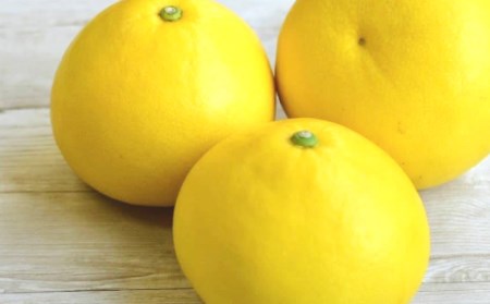 24-334．【早期受付・期間限定・数量限定】＼旬の味覚／甘味と酸味がまろやかに溶け合う！四万十市産・土佐文旦3kg（家庭用）【配送時期：2025年2月～3月中旬】