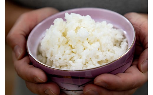 きよしま米【精米】５kg×３袋[822]