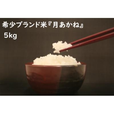 ふるさと納税 高山村 【令和7年産】品種指定『ミルキープリンセス』高山村のブランド米「月あかね」精米 5kg×1袋 |  | 01