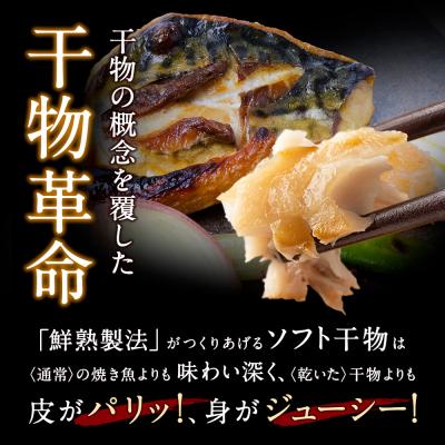 ふるさと納税 福智町 【8/19〜寄付額改定】博多バラエティ― 干物詰合せ |  | 02