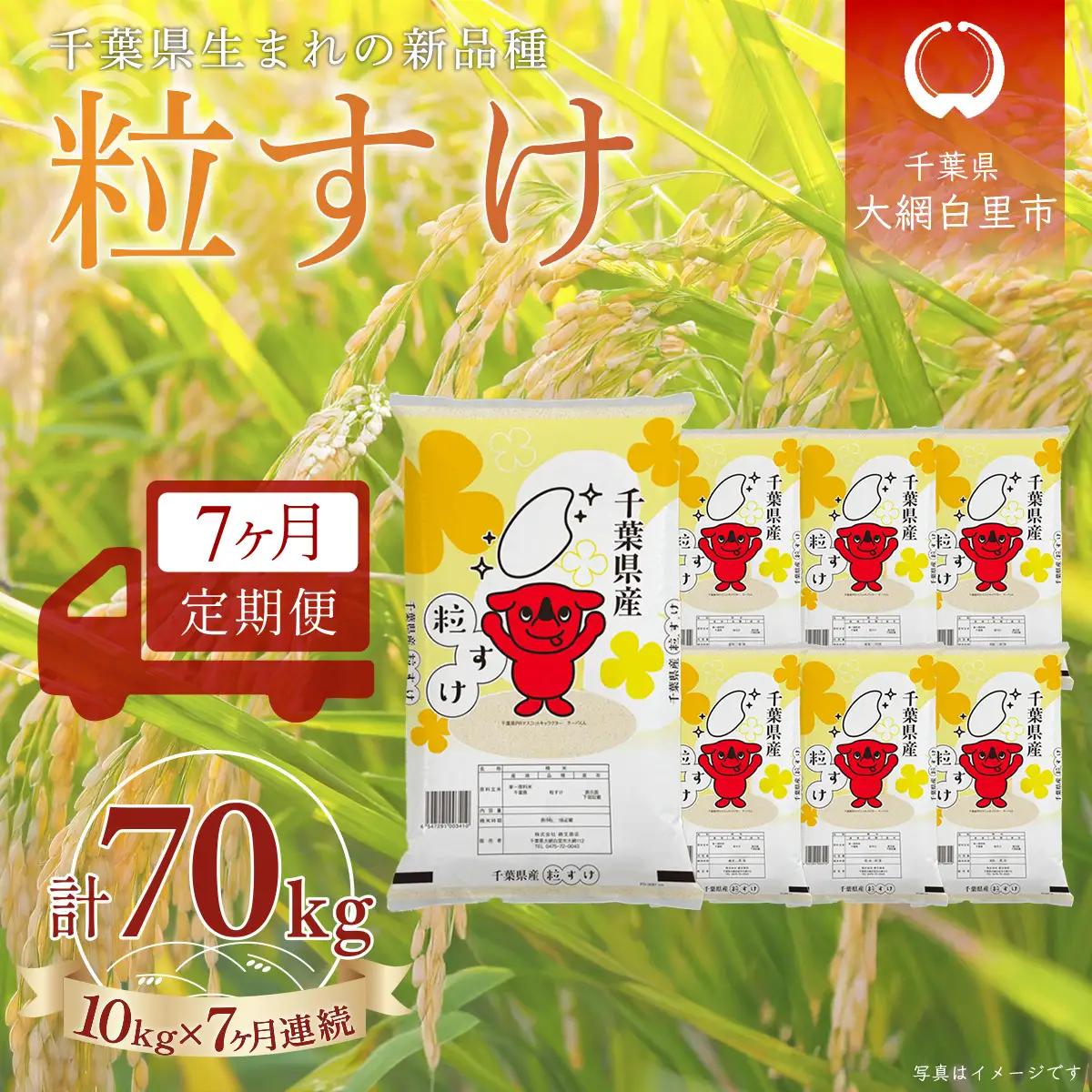 ＜7か月定期便＞ 千葉県産「粒すけ」精米 10kg×7か月連続 計70kg A089