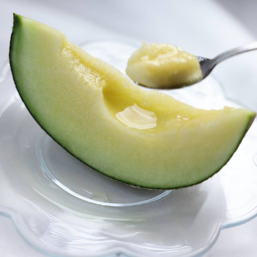 ＜山一ファーム＞旬の時期にお届け 茨城県産 2種のメロンの定期便B