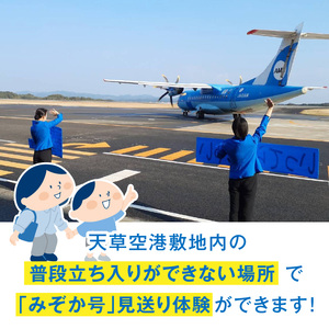 S035-011_イルカの飛行機「天草エアライン」をスタッフと一緒にお見送り体験