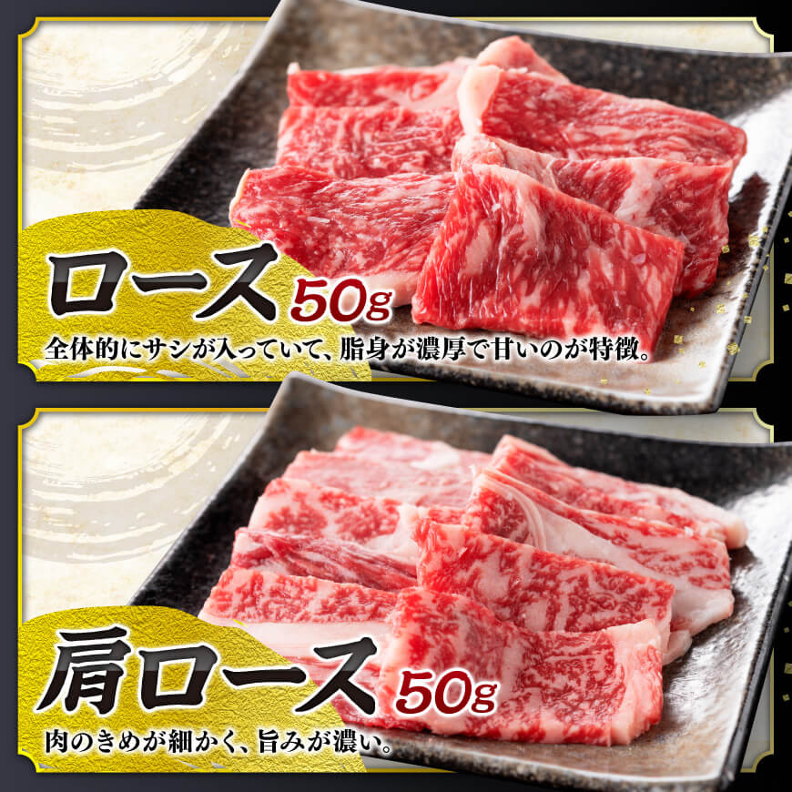 宮崎県産 黒毛和牛 と 豚肉 焼肉 10種 【 肉 牛肉 豚肉 ぶた肉 国産 黒毛和牛 食べ比べ 4等級 5等級 ミヤチク 焼肉 BBQ バーベキュー 】