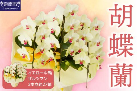 胡蝶蘭 イエロー中輪ザルツマン3本立 27輪 ※お届け不可地域あり【008C-005】
