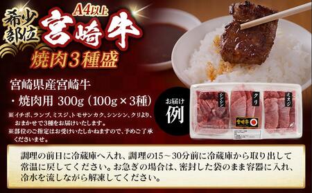 牛肉好き必見!宮崎牛希少部位の焼肉☆お楽しみ3種盛(100g×3種)_14-J702_(都城市) 宮崎県産 宮崎牛 希少部位イチボ ランプ ミスジ トモサンカク シンシン クリ から厳選 100g×3