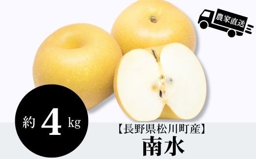 HF05【信州松川町産】 南水梨 約4kg／2026年9月下旬頃～10月上旬頃発送開始予定 // 長野県 南信州  減農薬栽培 和梨 なし ナシ 南水 エコファーマー認証 農家支援 HF