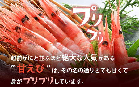旬子持ち甘えび 小分け 約500g【12尾前後 × 3袋】中サイズ 鮮度格別 獲れたてを液体凍結 えび エビ 海老 甘エビ 甘えび 甘海老 人気 海鮮 お刺身 魚介 海鮮丼 生食 お造り 無添加 冷凍