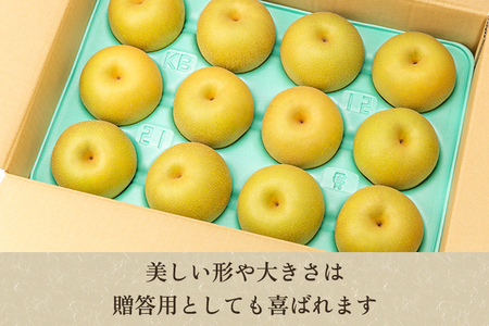 【2026年先行予約】「天果糖逸（てんかとういつ）」 新潟県産和梨 新美月 約5kg（9～12玉）《9月中旬～配送予定》 しんみづき 加茂市 えちご中越農業協同組合
