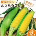 【ふるさと納税】【期間限定発送】 野菜 とうもろこし ( ゴールドラッシュ ) 12本入 約5kg [笛吹農業協同組合 山梨県 中央市 21470872] やさい トウモロコシ コーン 甘い スイートコーン 季節限定 期間限定