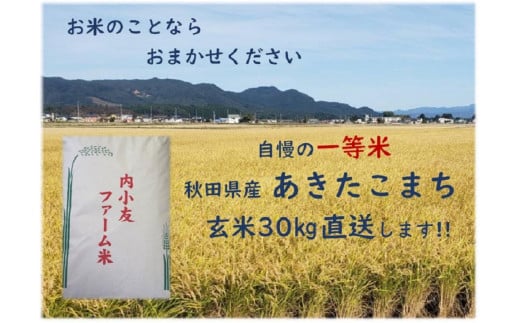 令和6年産 秋田県産あきたこまち 一等米 農家直送 玄米30kg