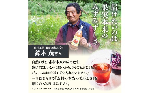 大江の恵 山ぶどう3本ギフト(各500ml)
