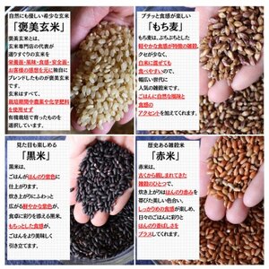 【白米に混ぜて簡単!】国産 有機四穀米ブレンド3.0kg(250g×12袋入り)【1633173】