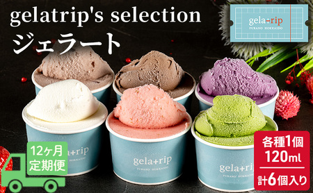 ジェラート gelatrip 北海道産 ジェラート【6個】【12ヵ月定期便】