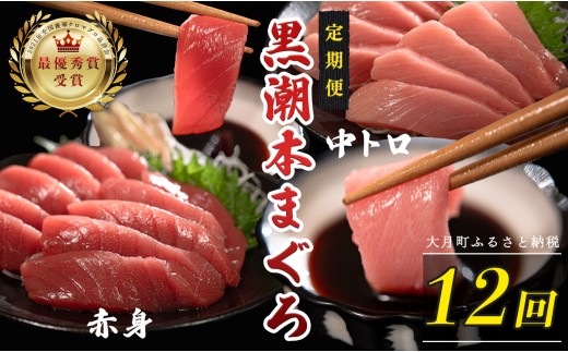 訳あり 不定貫 定期便12回 日本一!黒潮本まぐろ 中トロ・赤身