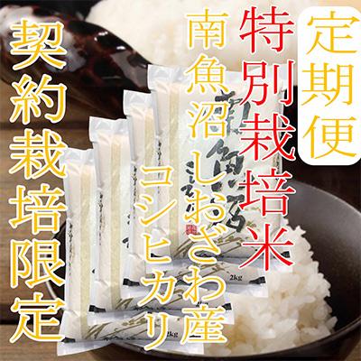 ふるさと納税 南魚沼市 【毎月定期便】【特別栽培米8Kg】生産者限定 南魚沼しおざわ産コシヒカリ全3回