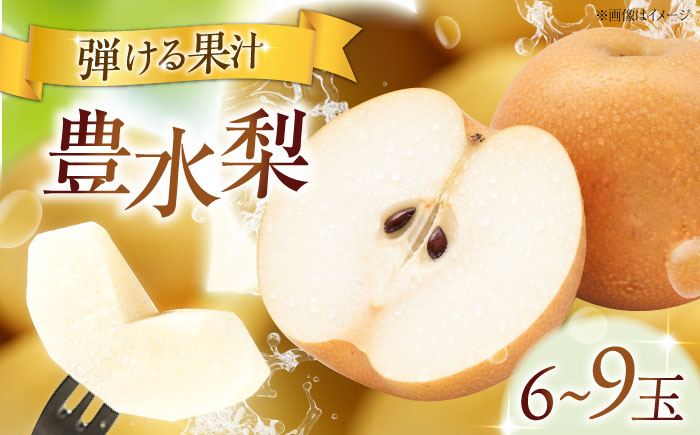 フルーツ松本の豊水梨(ほうすいなし) 6～9玉入り 〈2026年9月～発送〉 ／ フルーツ 果物 くだもの 食品 人気 おすすめ 送料無料 梨 なし 豊水梨 季節のフルーツ 【株式会社内子フレッシュパークからり】 [BKAD053]