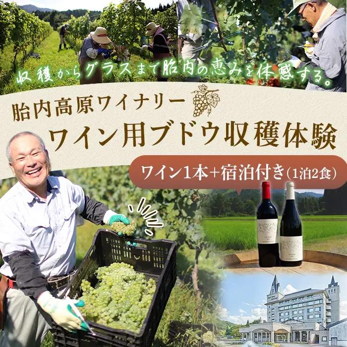 胎内高原ワイナリー ワイン用ブドウ収穫体験【ワイン1本＋宿泊付き（1泊2食）】