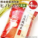 【ふるさと納税】熊本県菊池産 ヒノヒカリ 玄米 合計4kg 2kg×2パック 令和6年産 七城物語 高野さんちの自然栽培米 米 お米 自然栽培米 特A 国産 九州産 熊本県産 送料無料