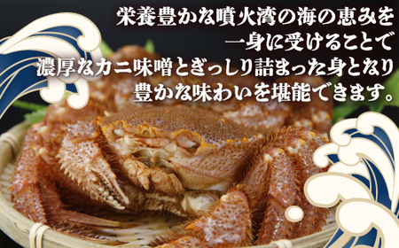 活毛ガニ 2尾 （1尾400～500g） 地元現役漁師が厳選 毛ガニ 冷蔵 北海道 豊浦 噴火湾 毛蟹 カニ 2024年6月末から順次出荷