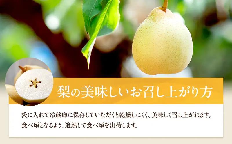 梨 フルーツ 備前乙女梨 鴨梨 岡山県産 梨【6～9玉 約4kg】【先行予約】