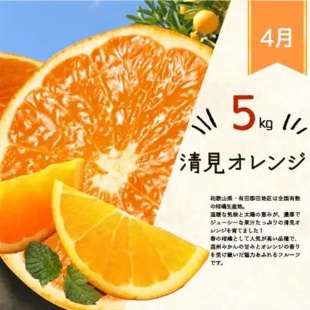 【発送月固定定期便】紀州和歌山産旬のフルーツセット(みかん・不知火・レモン・清見)全4回【4005765】