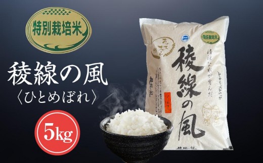 特別栽培米　稜線の風（ひとめぼれ） 5kg ｜米  国産米 長野県産 人気 おすすめ お米 白米 減農薬 ごはん 和食 健康 送料無料 長野県 大町市 ふるさと納税