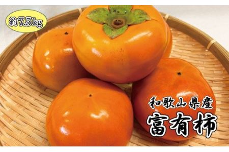 和歌山秋の味覚　富有柿　約7.5kg　※2024年11月上旬頃〜2024年11月下旬頃順次発送（お届け日指定不可）【uot702】