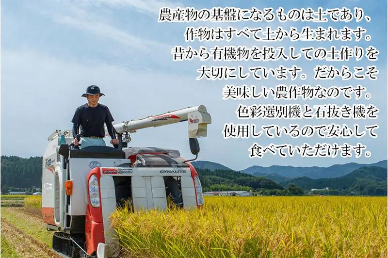 数量限定 【令和7年産】 山形県庄内産 小池半左衛門のお米 特別栽培米 つや姫 玄米 5kg (5kg×1袋)　