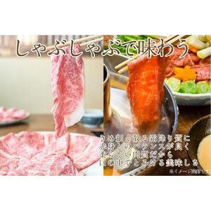 【定期便12か月】岡山　黒毛和牛　美星牛　A４等級以上　牛脂付き　１２か月定期便 合計約４８００g　 生産者直送便　美星牧場　定期便