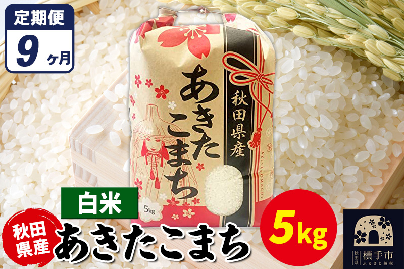 《定期便9ヶ月》あきたこまち 5kg【白米】令和7年産 秋田県産 こまちライン [こまちライン あきたこまち ブランド米 お米 白米 精米 米どころ 秋田 秋田県産]