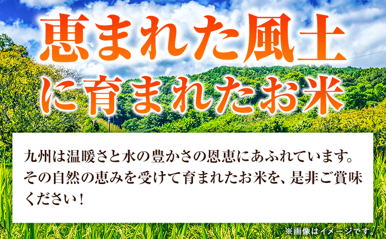 【6ヶ月定期便】熊本県産 さとほまれ 無洗米 ご家庭用 定期便 5kg 《申込み翌月から発送》熊本県 玉名郡 玉東町 米 こめ コメ ブレンド米 送料無料