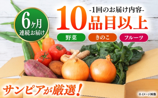 【6回定期便】＜配送時期が選べる＞採れたて野菜 お楽しみ便 （ 野菜 果物 きのこ 10品目以上 ） 野菜 フルーツ やさい 野菜セット 野菜定期便 旬 定期便 毎月 / 南島原市 / サンピア [S