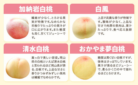 【先行予約】岡山の桃 食べ比べ 定期便 3回コース【配送不可地域あり】　桃