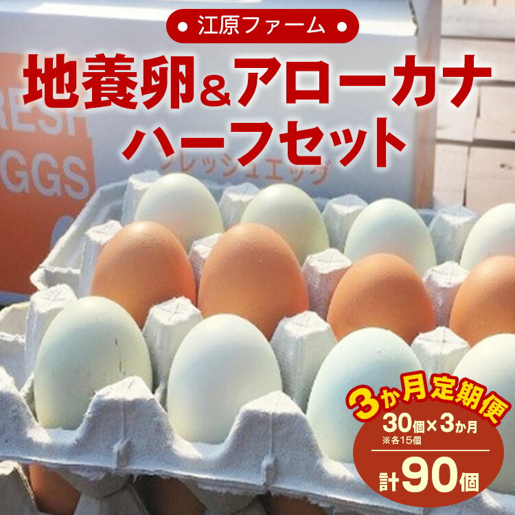 【ふるさと納税】【定期便3か月】江原ファーム　地養卵＆アローカナハーフセット（30個） 卵 定期便 30個 玉子 たまご タマゴ 生卵 鶏卵 産みたて アローカナ 地養卵 食べ比べ 新鮮 濃厚 健康 青い卵 TKG 国産 ギフト 贈答 贈り物 お歳暮 プレゼント 直送 _AG19