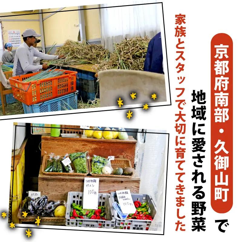 【6月～9月発送】 有機栽培 夏野菜セット おまかせ 6～8種 京都 期間限定