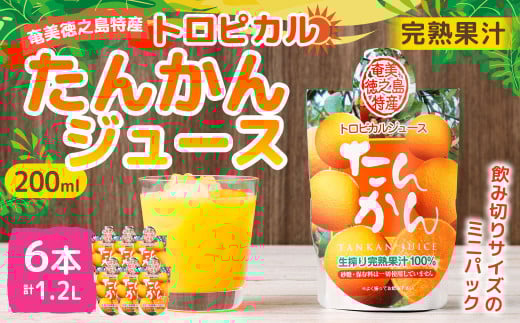天城町産  生搾り完熟果汁100％ 宝果樹園 ミニタンカンジュース 6本セット（200ml×6本） 合計約1.2L タンカン 果汁飲料 たんかん 果汁100％ ジュース 飲み物 ドリンク 果物 くだもの セット 九州 鹿児島県 天城町 常温