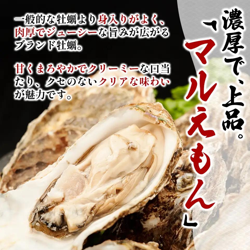 殻付き 牡蠣 LLサイズ 20個 【光輝】マルえもん 生食用 牡蠣