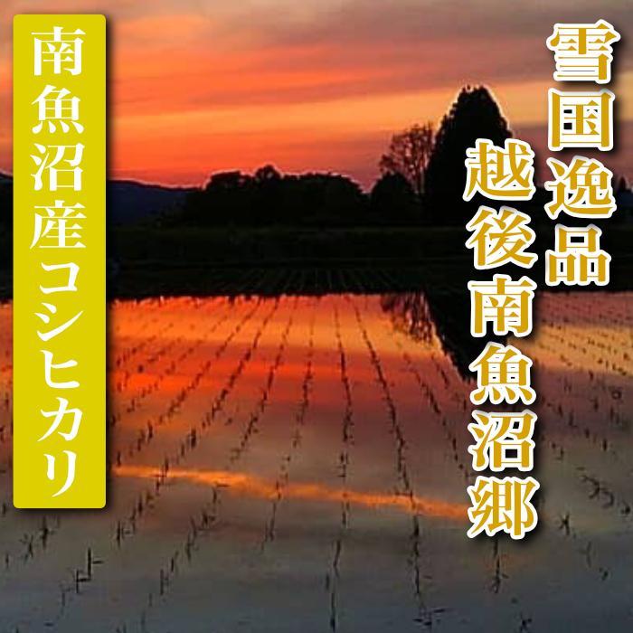 【令和7年産】【定期便 精米２Kg×全3回】雪国逸品 越後南魚沼郷 南魚沼産コシヒカリ【2025年10月上旬より順次発送予定】
