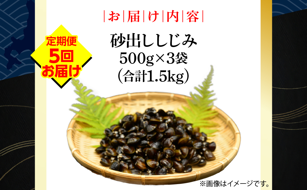 【定期便】無添加大粒砂出ししじみ500g×３袋合計1.5kg 全5回 ABAO142 配送回数:5回