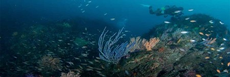 逗子・葉山ダイビングリゾート（小坪）で使えるご利用割引券E