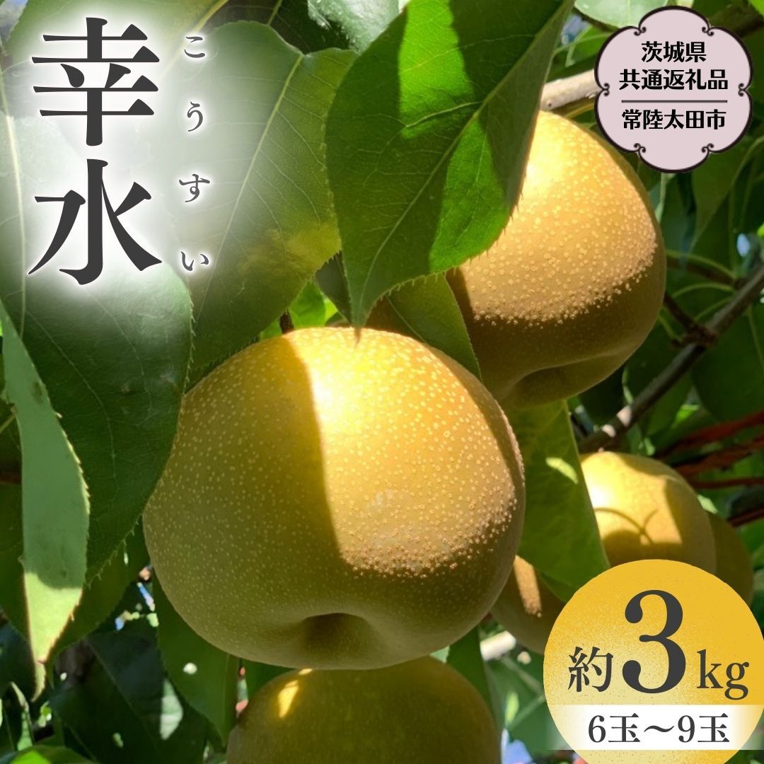 【2026年8月中旬発送開始】 茨城県産 梨 「 幸水 」 約 3kg 6玉 ～ 9玉 【茨城県共通返礼品／常陸太田市】 桧山果樹園 農家直送 フルーツ 甘い 直送 茨城 限定 ギフト 梨 幸水 こうすい 果物 [DU001sa]