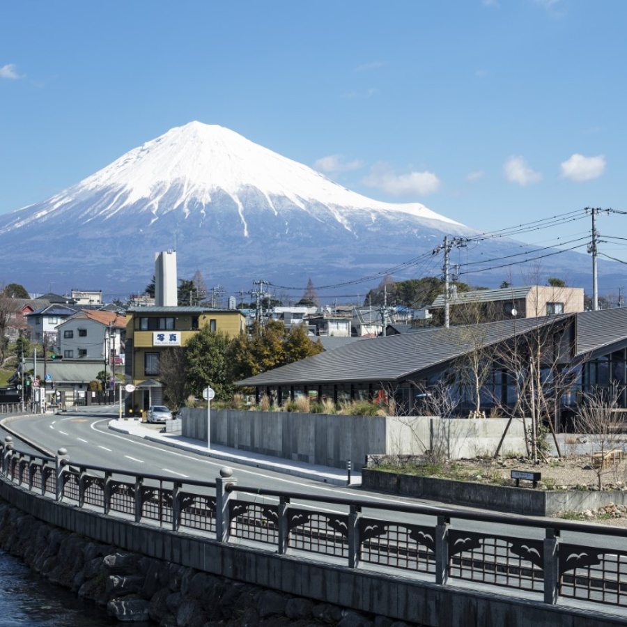 ＜Mt.Fuji Brewing（マウントフジブリューイング）＞「マウントフジブリューイング」　白茶富士（しらちゃふじ）350ml×24缶