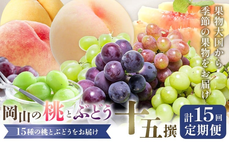 
            【2026年発送先行予約】 桃 ぶどう 6ヶ月 計15回 定期便 岡山 の 桃 と ぶどう 十五撰 10種 計12.9kg 晴れの国おかやま館(漂流岡山)《2026年7月中旬-12月中旬頃出荷》岡山県 笠岡市 もも 桃 ぶどう マスカット 果物 フルーツ 【配送不可地域あり】（離島）
          