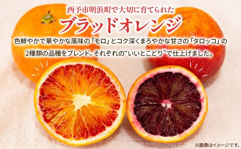 ＜ブラッドオレンジジュース 720ml 2本セット＞『1か月以内に順次発送予定』果汁 フルーツ 果物 柑橘 みかん 蜜柑 ミカン みかんジュース 飲料 ドリンク 飲み物 渡江から一歩を踏み出す会 愛媛