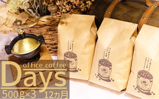 
定期便 12ヶ月 自家焙煎 オフィスコーヒー Days マイルドブレンド 500g×3 粉 12回 お楽しみ
