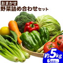 【ふるさと納税】四季のお楽しみ☆おまかせ 野菜 詰め合せ セット ( 訳あり 品 ) 5品~ 約5kg JA紀州産直店 さわやか日高(日高川町)《30日以内に出荷予定(土日祝除く)》 和歌山県 日高川町 野菜セット 野菜 詰め合わせ 訳あり品