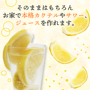 冷凍 みかん 皮付き河内晩柑 500g×4袋 冷凍 みかん 武田屋